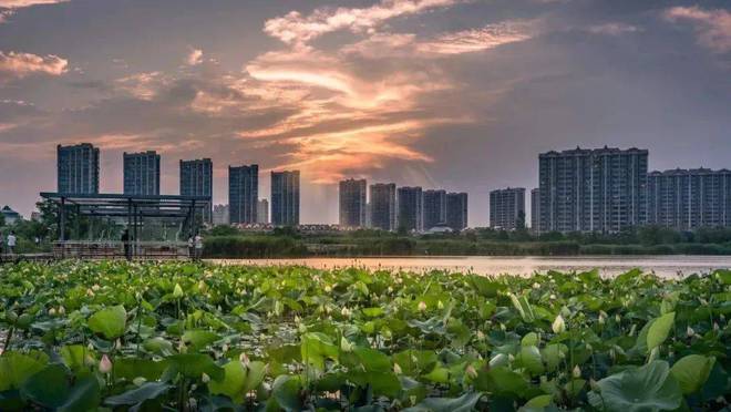 虹桥嘉悦府2024售楼处电话嘉定虹桥嘉悦府开发商网站发布(图24)