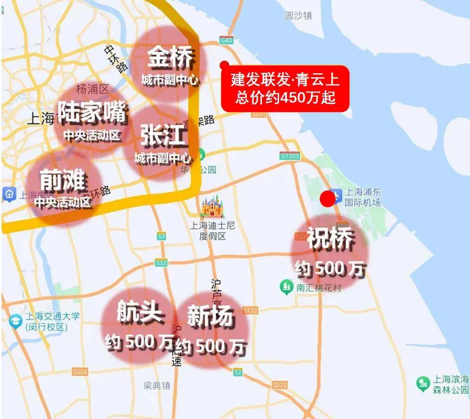 青云上(上海浦东)2024年首页网站建发青云上最新房价户型配套-小区规划(图5)