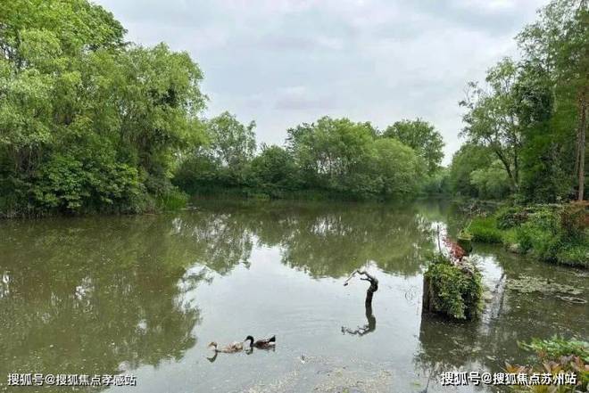 2024鑫湾甲邸售楼处(鑫湾甲邸)网站-开发商-上海房天下(图22)