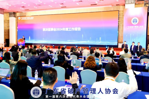 广东省破产管理人协会第一届第六次会员代表大会暨2024年度表彰大会成功召开(图6)
