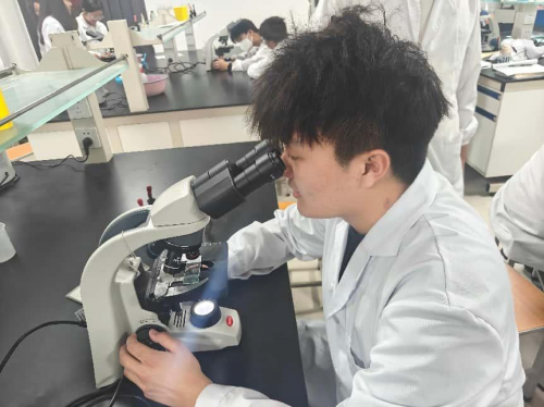 宠链智达：当科技遇上温度团队重塑宠物智慧服务生态(图1)