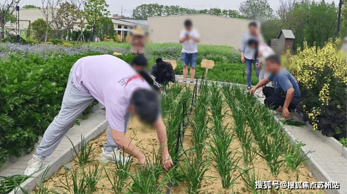 尚湾林语(营销中心)首页网站-尚湾林语销售中心(售楼处)-2025楼盘欢迎您-地址-价格-户型-小区环境-楼盘详情-交房时间-周边配套-售楼处电话(图17)