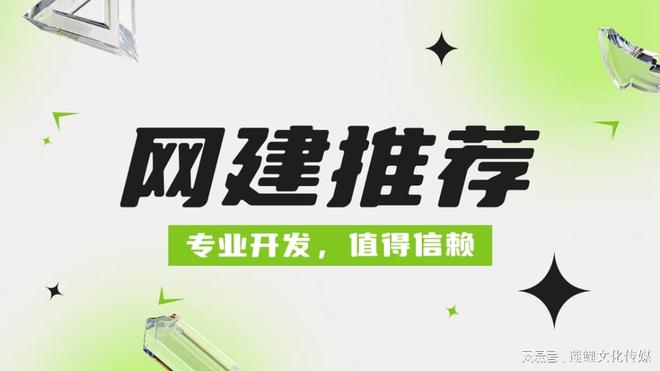 企业数字化必选：2024年网站开发公司推荐(图1)