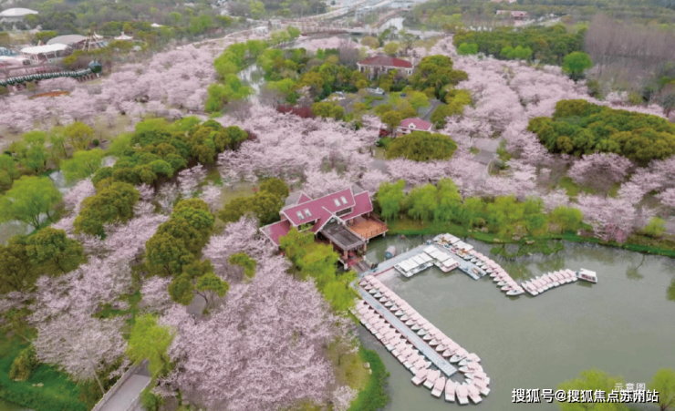 PG电子科技：招商时代乐章售楼处首页网站-2025最新房价+户型图+小区环境+配套-电话(图34)