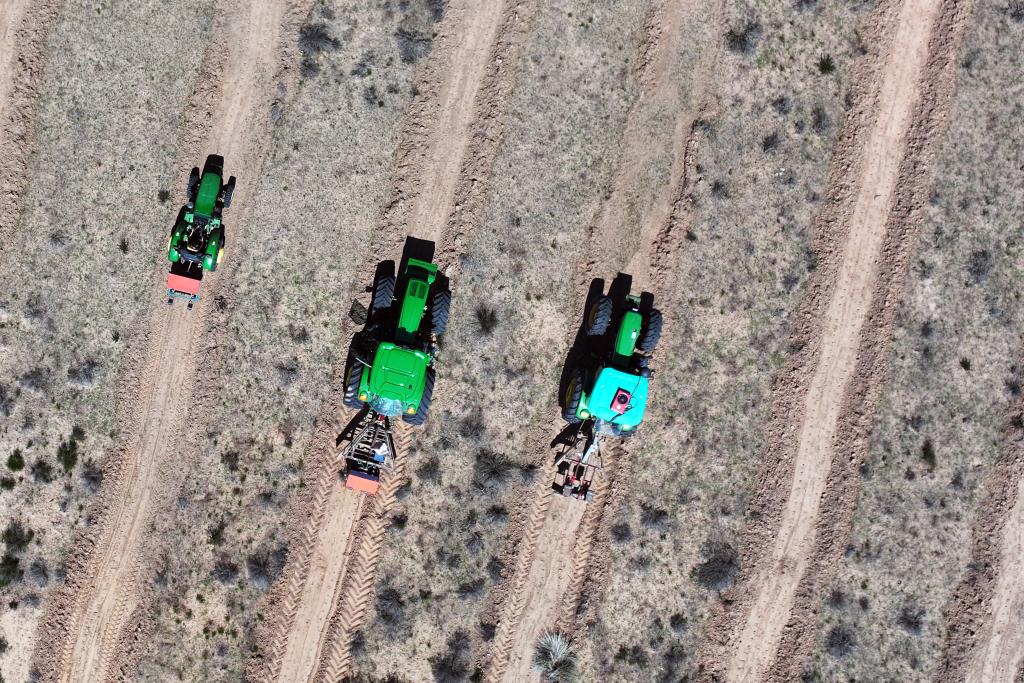 内蒙古5年完成防沙治沙6688万亩(图1)