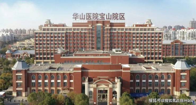 中環置地中心望雲TOD售楼处-(中環置地中心望雲)售楼处电话首页网站-楼盘详情-最新房价-咨询电话(图14)