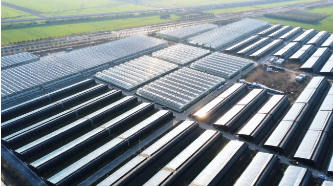 今年数字经济规模预超22万亿元底气从哪儿来？丨数字经济“舞”中原(图4)