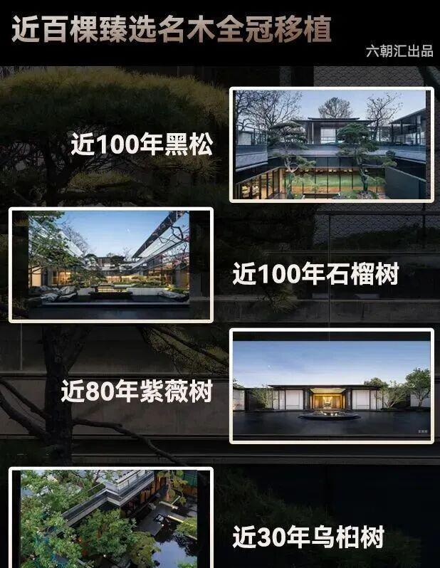 PG电子平台：中建·合玺东方(售楼处)网站-2025年新首页欢迎您欢迎致电(图12)