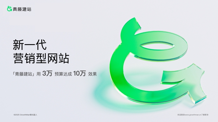 2025年度网站定制开发公司有哪些：国内TOP10建站机构多维度测评(图2)