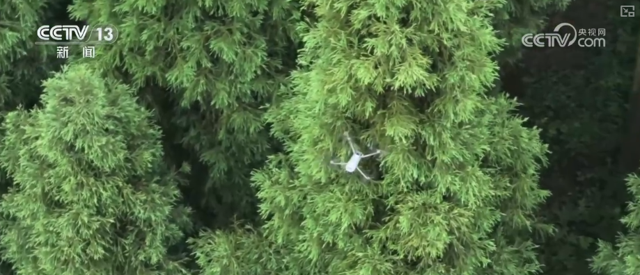 顶压前行、逆势增长为什么行？打开“集装箱”解锁“抢手货”看外贸新亮点(图17)