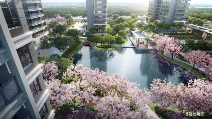 PG电子科技:苏州新房高铁新城日系大宅和风雅信(和风雅信网站首页)图文详解-户型-地址-价格-周边配套-售楼处(图6)