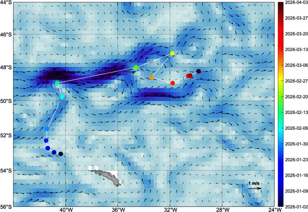 PG电子平台：世界最大冰山崩解“销号”我国风云气象卫星监测有“绝招”(图2)