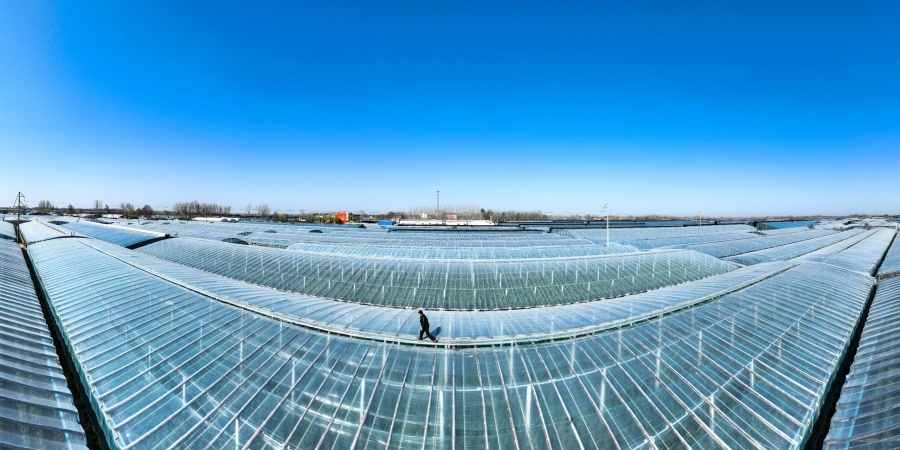 PG电子平台：从蔬菜大县到农业强县——莘县现代农业发展的质变之路(图2)