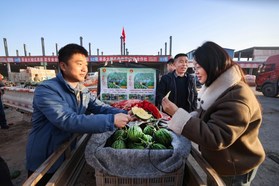 PG电子平台：从蔬菜大县到农业强县——莘县现代农业发展的质变之路(图3)