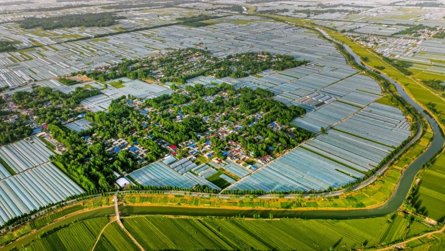 PG电子平台：从蔬菜大县到农业强县——莘县现代农业发展的质变之路(图1)