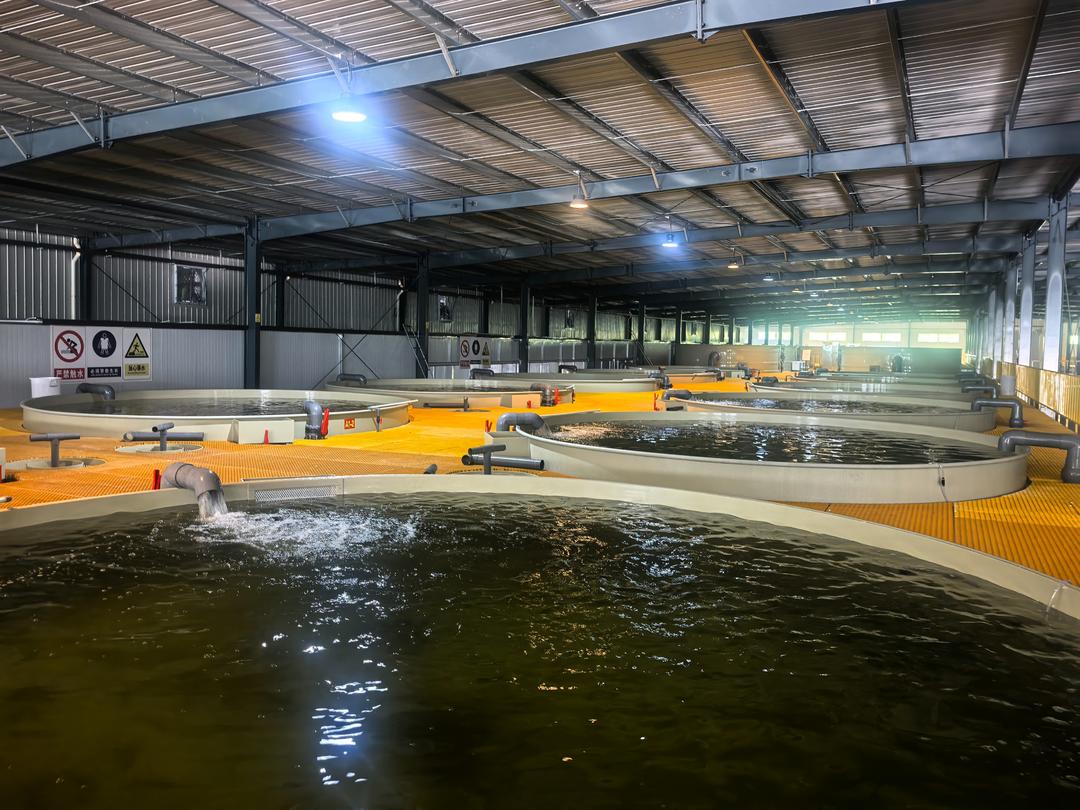 蹲点调查｜跳出帮扶看协同：强县不愿帮、弱县接不住？山东这样破局(图6)